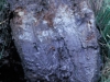 o_Watland Soils in fiel guide USDA1 soilspage10top